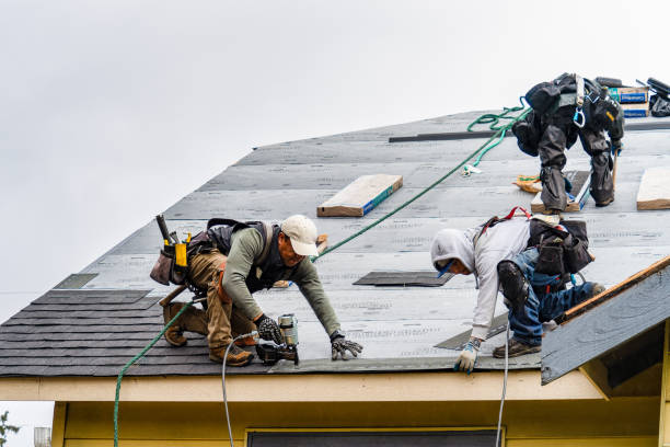 Professional Gutter Installation technician working in Gill, CO